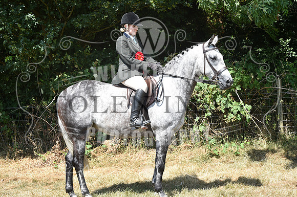 OD1_2256