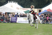 Jousting