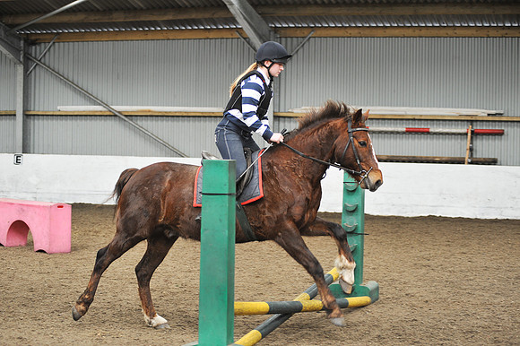 JBS_7762
