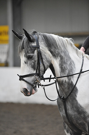 JBS_7283