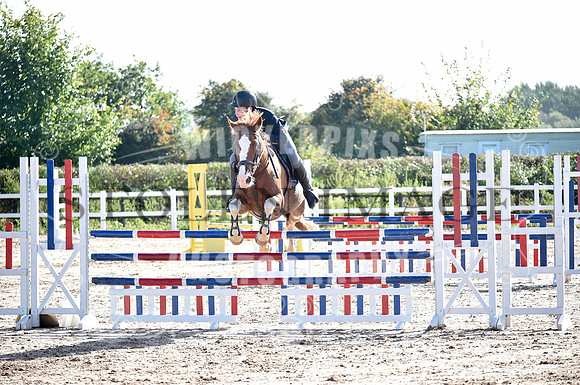 OD1_2783-264-263