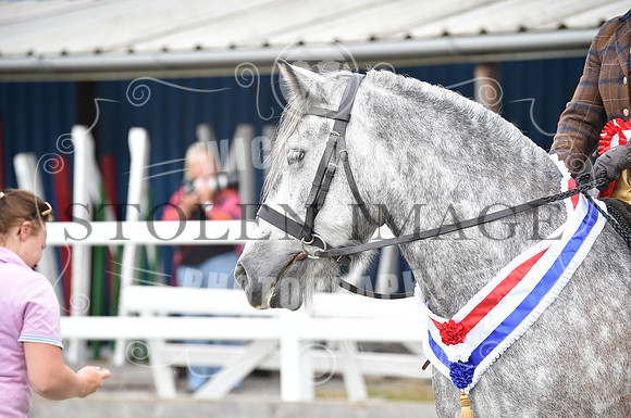 OD1_9679