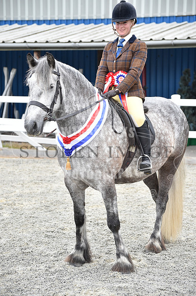 OD1_9654