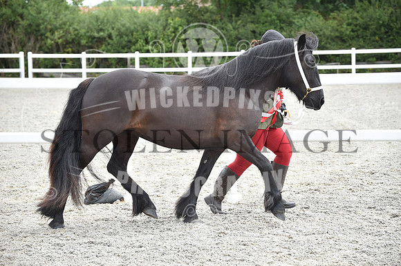 OD1_9715