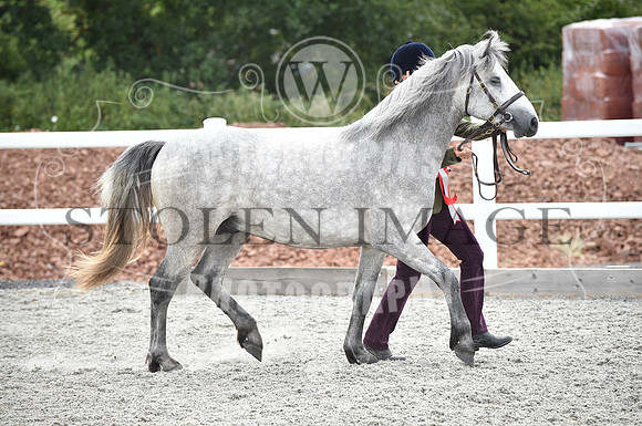 OD1_9706