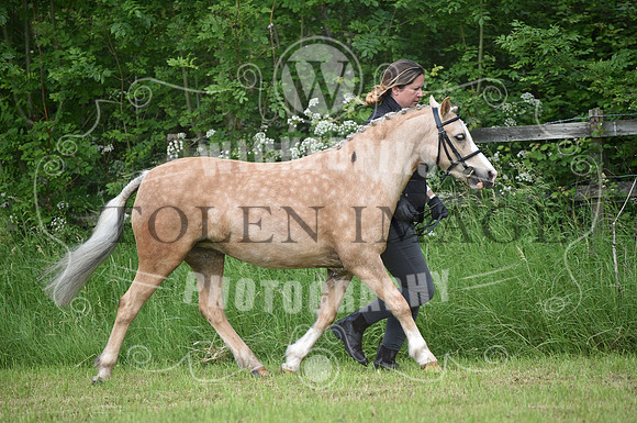 OD1_3776