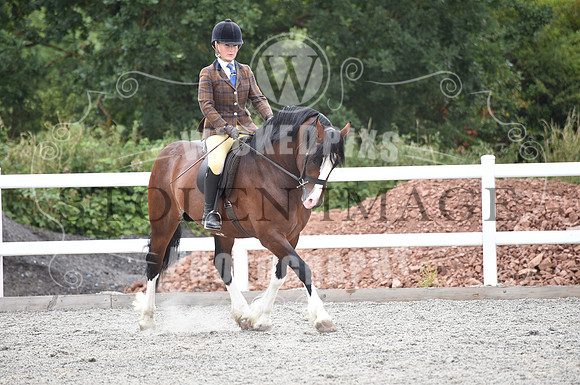 OD1_9538
