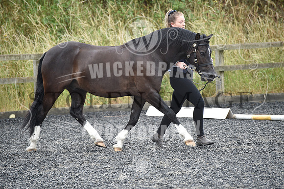 OD1_9483