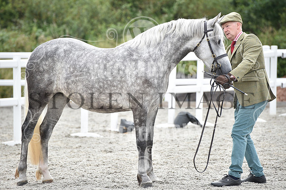 OD1_9689