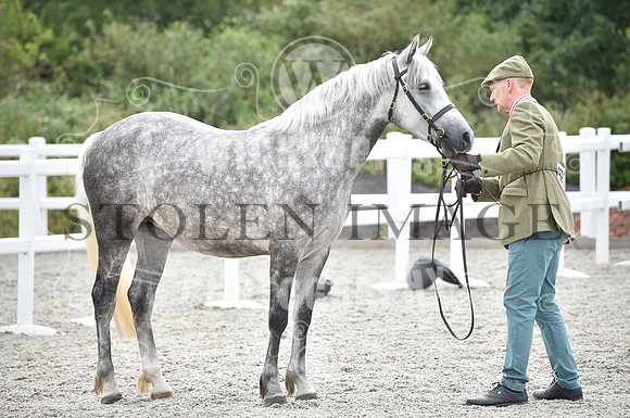 OD1_9686
