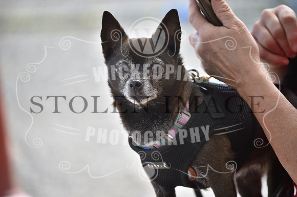 untitled-0013-208