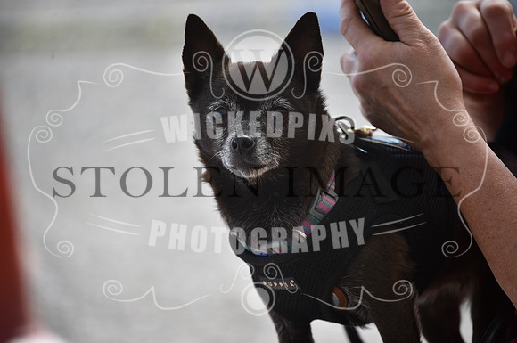 untitled-0011-206