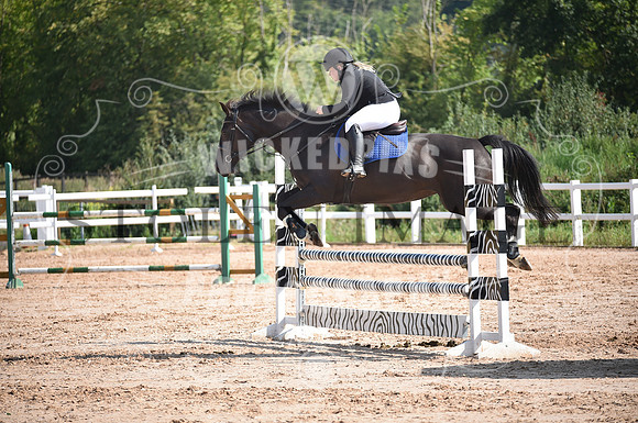 untitled-0010-205