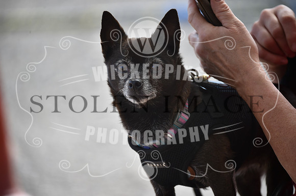 untitled-0012-207