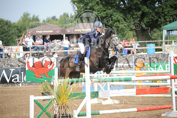 JBS_9214