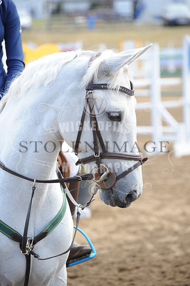 JBS_9134