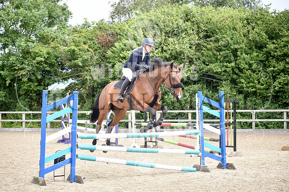 ZEN_8448