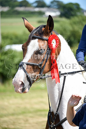 OD1_5217-294-285